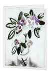 Korrespondenzkarte "Rhododendronzweig"