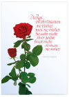 Poster "Die Ros`"